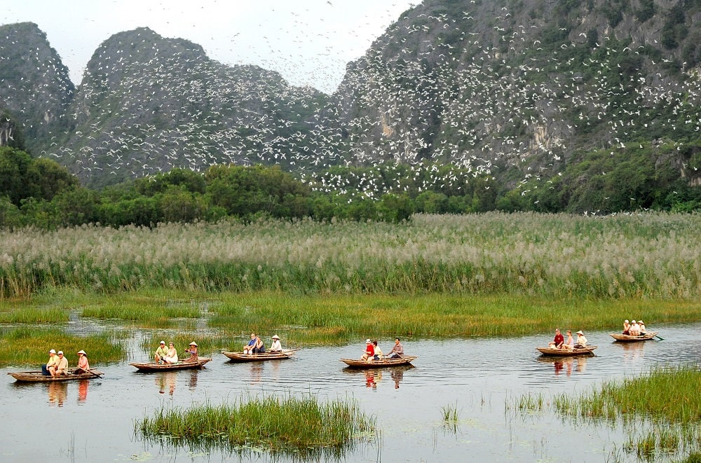 A boat journey through Van Long reveals poetic scenery where still waters reflect majestic limestone mountains